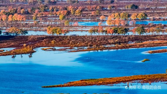Ussuri River National Forest Park