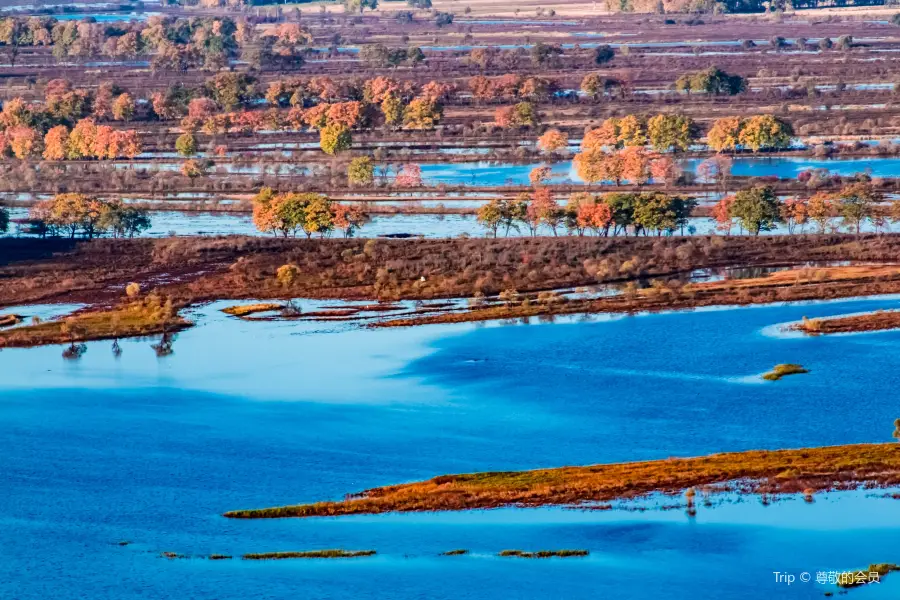 Ussuri River National Forest Park