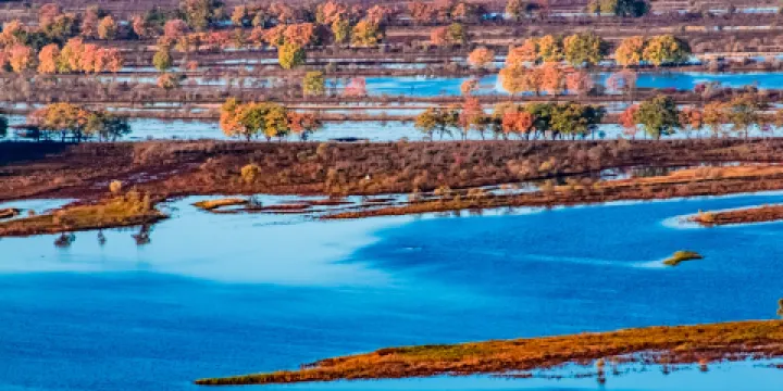烏蘇里江國家森林公園