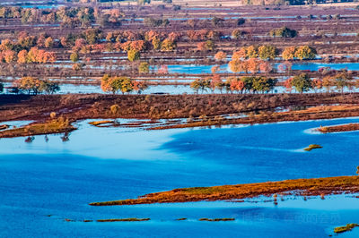 Ussuri River National Forest Park