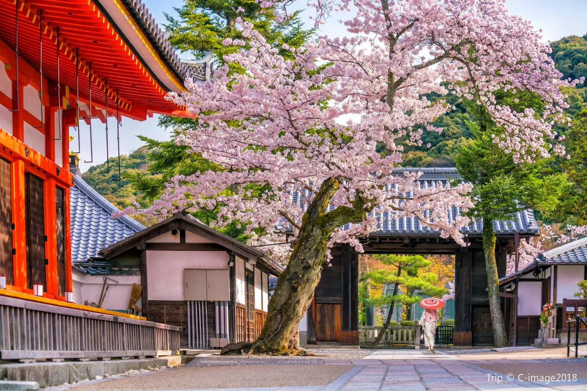 Kiyomizu-dera Temple