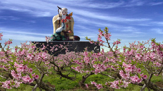 塔城地區