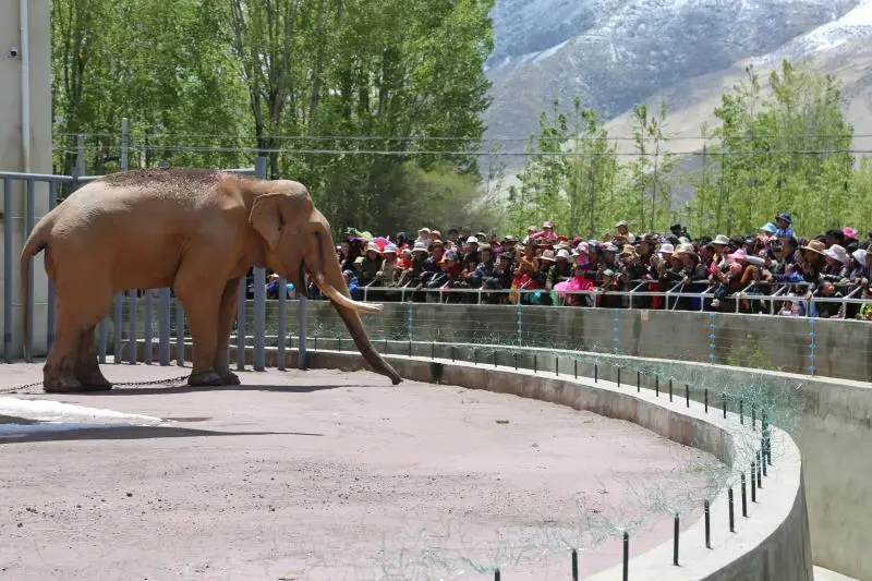 曲水動物園