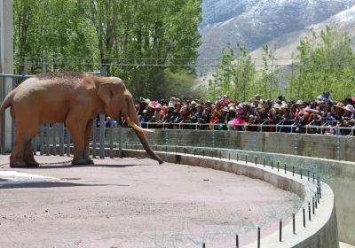 Qushui Zoo