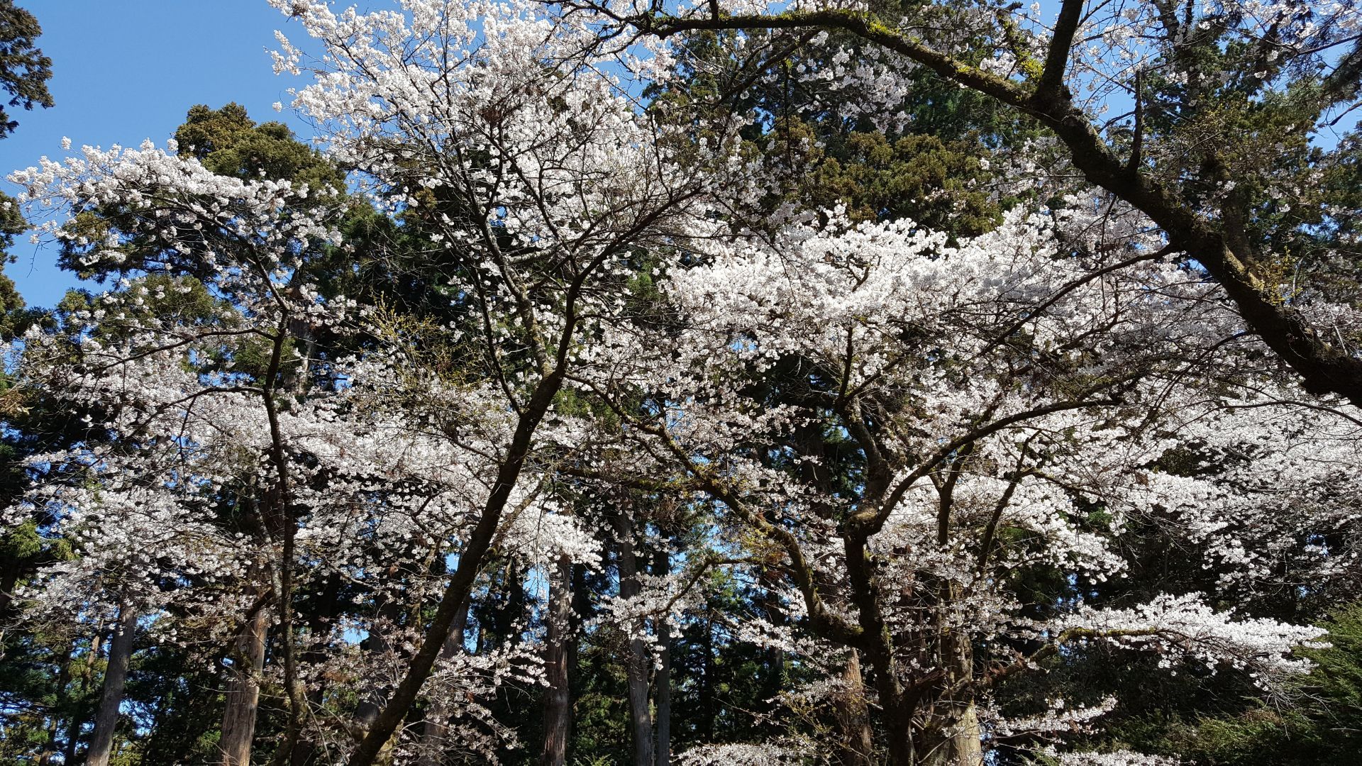 Hirose River Travel Guidebook Must Visit Attractions In Sendai Hirose River Nearby Recommendation Trip Com