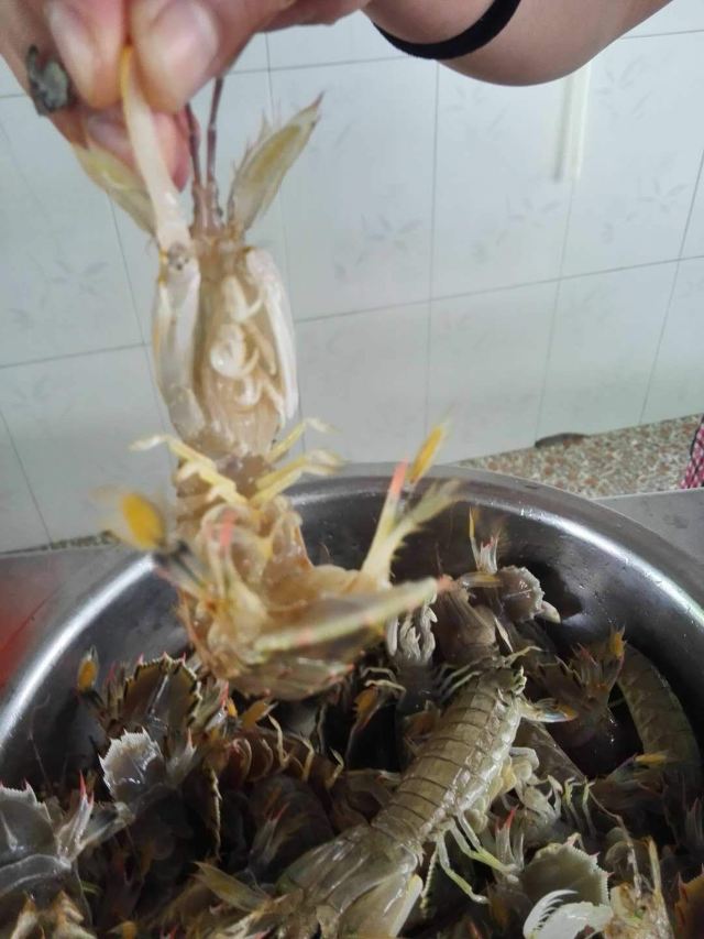 동다이허