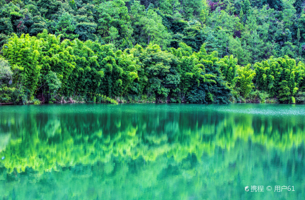 Shunan Zhuhai (“South Sichuan Bamboo Sea”) National Park