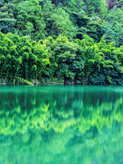 Shunan Zhuhai (“South Sichuan Bamboo Sea”) National Park