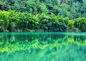 Shunan Zhuhai (“South Sichuan Bamboo Sea”) National Park