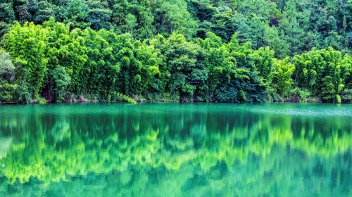 Shunan Zhuhai (“South Sichuan Bamboo Sea”) National Park