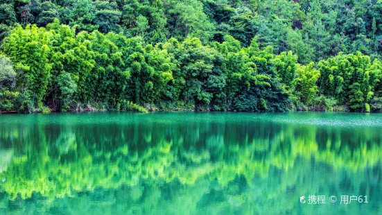 Shunan Zhuhai (“South Sichuan Bamboo Sea”) National Park