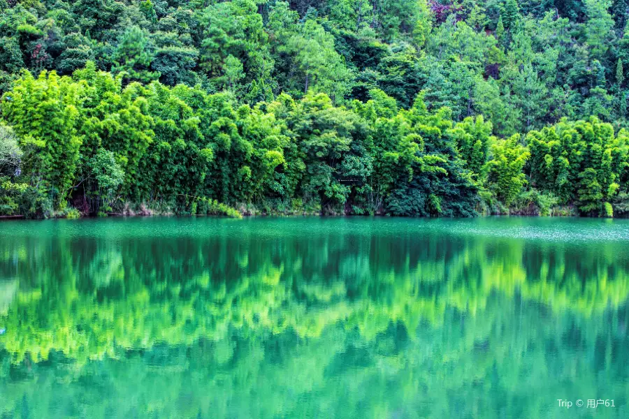 Shunan Zhuhai (“South Sichuan Bamboo Sea”) National Park