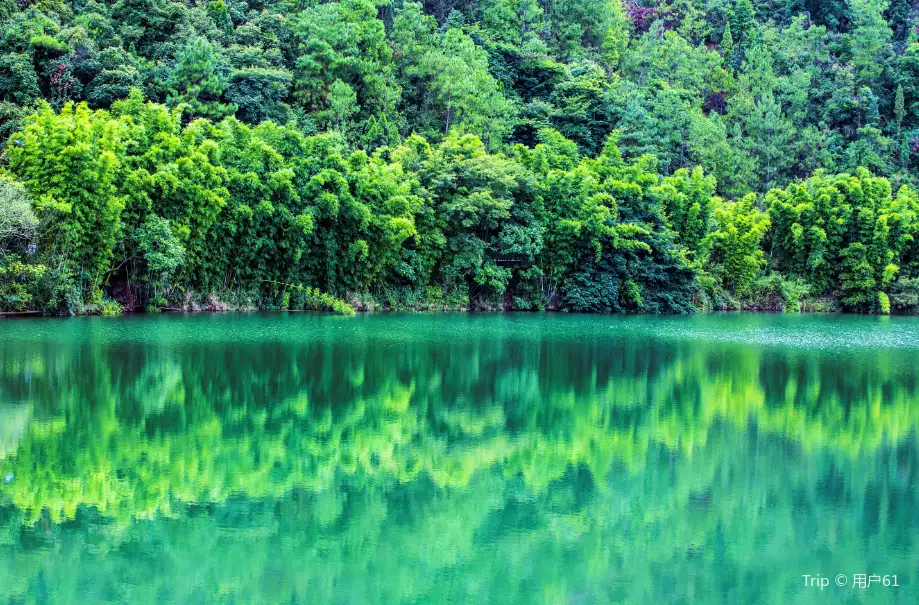 3_Southen Sichuan Bamboo Sea