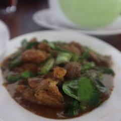 Green Bird User Photo