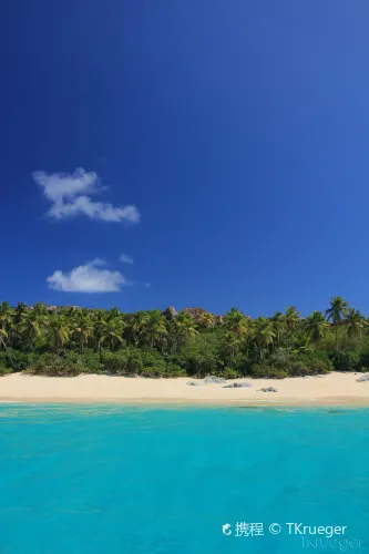 Dominicus