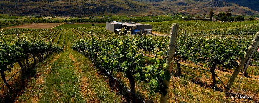Oliver Winery