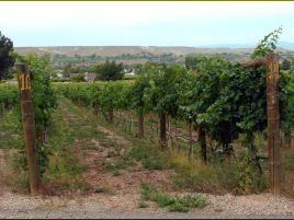 Colorado Cellars