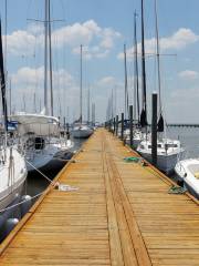 Bald Ridge Marina