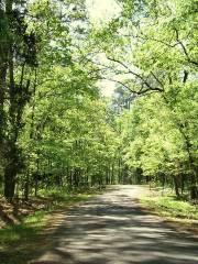 Lick Creek Park