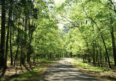 Lick Creek Park