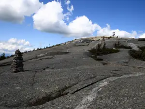 Mt Cardigan