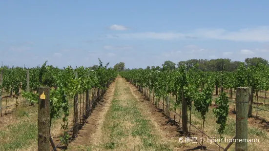 Laurel Lake Vineyard