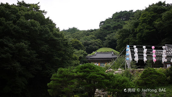 慶州日遊