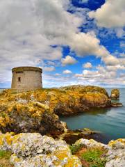 Ireland's Eye Ferries