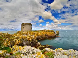 Ireland's Eye Ferries