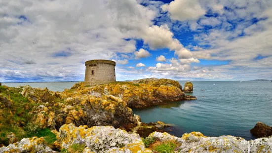 Ireland's Eye Ferries