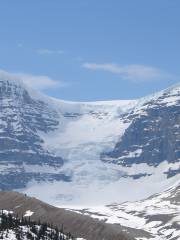 Columbia Icefield Scenic Walks