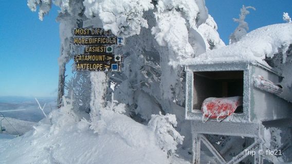 Mad River Glen Cooperative