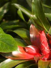 Franklin Park Conservatory and Botanical Gardens