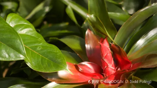 Franklin Park Conservatory and Botanical Gardens