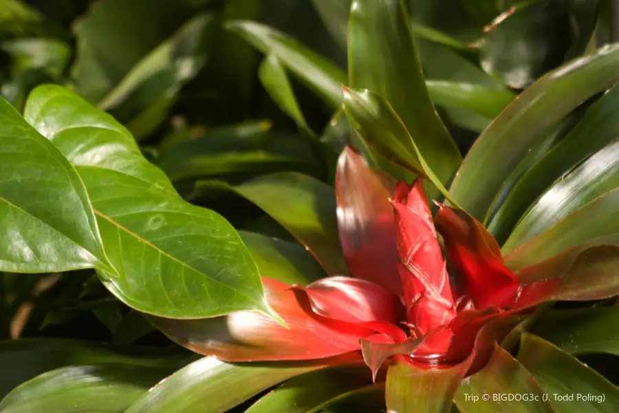 Franklin Park Conservatory and Botanical Gardens