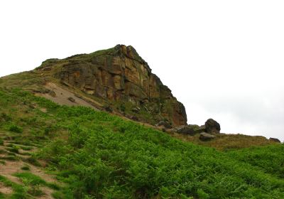 Roseberry Topping