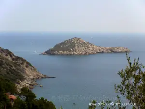 Riva del Marchese Beach Club