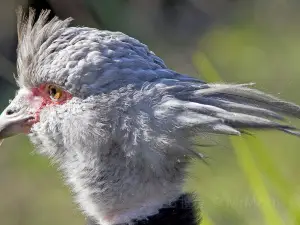 Zoológico de Sacramento