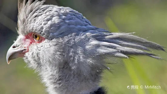 サクラメント動物園