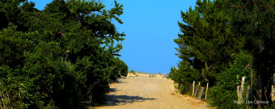 Island Beach State Park
