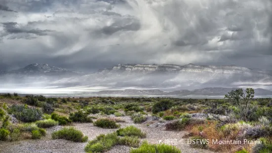 Tule Springs Fossil Beds National Monument