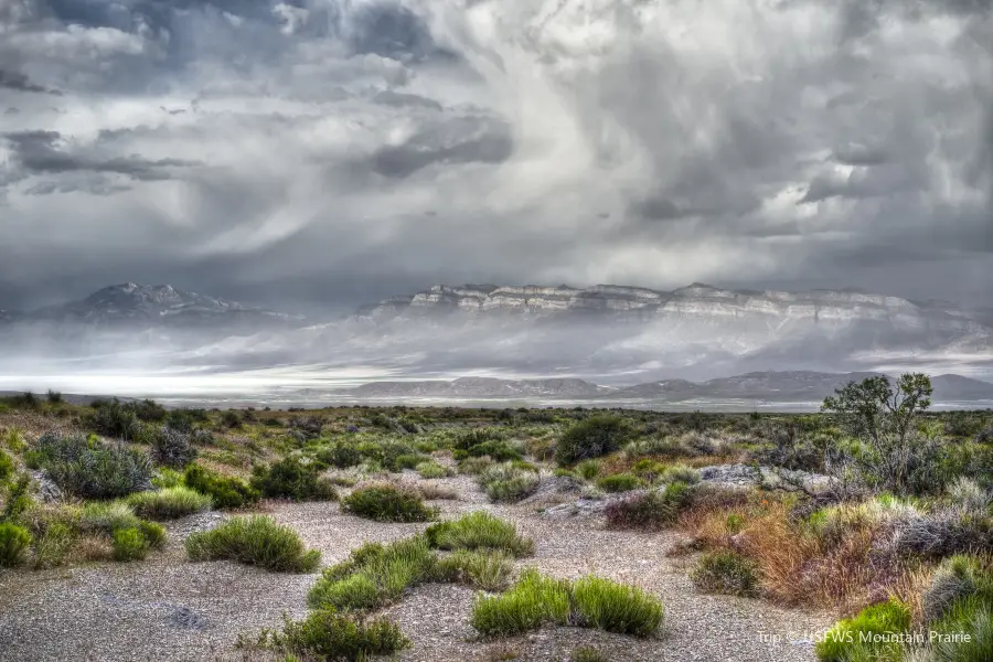 Tule Springs Fossil Beds National Monument