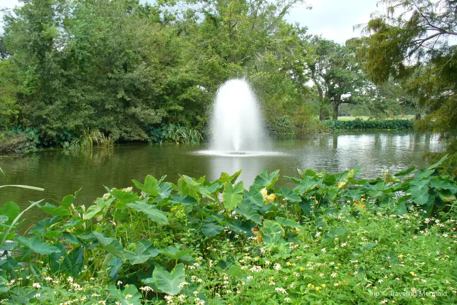 奧杜邦公園