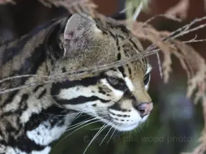 索爾茲伯里動物園