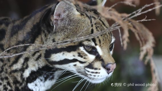 Salisbury Zoological Park