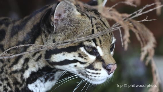 Salisbury Zoological Park