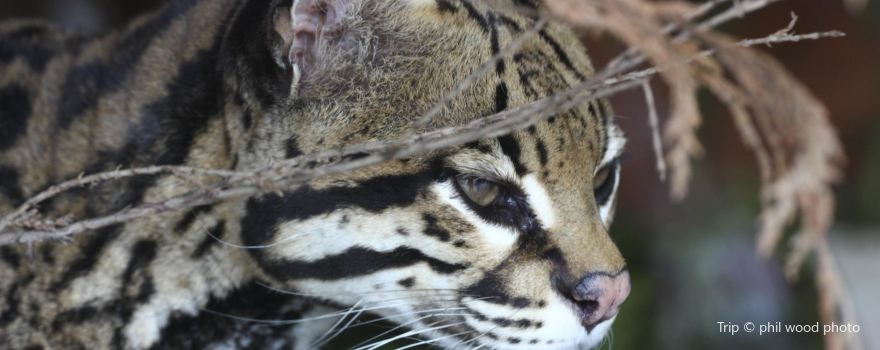 Salisbury Zoological Park