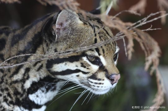 Salisbury Zoological Park