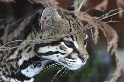 Salisbury Zoological Park
