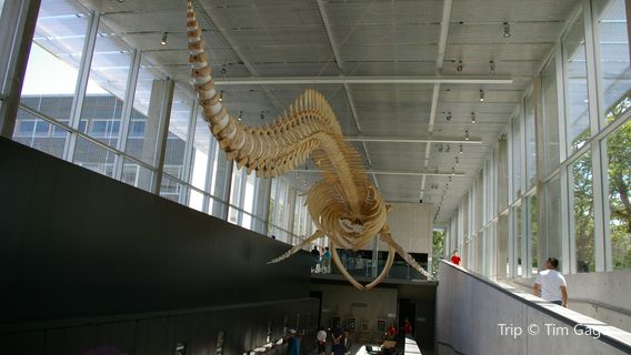 Nantucket Whaling Museum